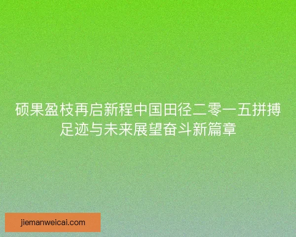 硕果盈枝再启新程中国田径二零一五拼搏足迹与未来展望奋斗新篇章